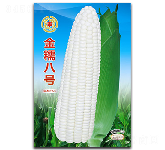 ��Ŵ��̖-Ŵ���׷N��-�����Z