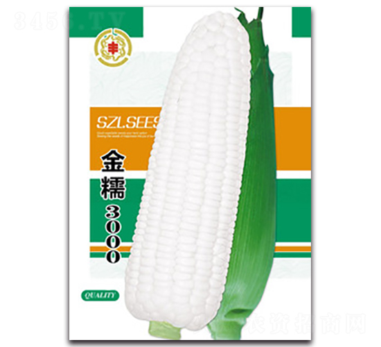 金糯3000-糯玉米種子-三主糧