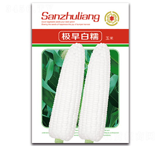 �O���Ŵ-Ŵ���׷N��-�����Z