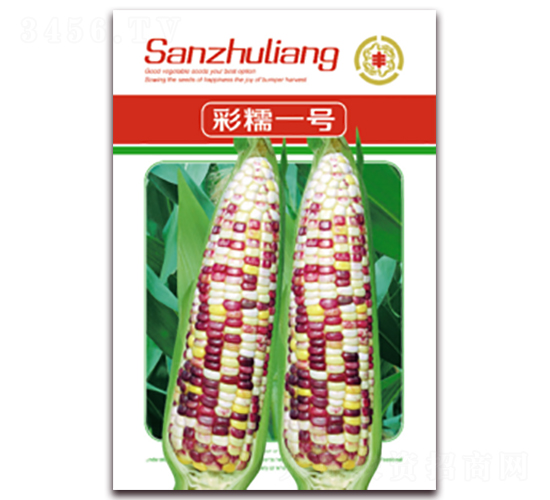 彩糯一號(hào)-糯玉米種子-三主糧