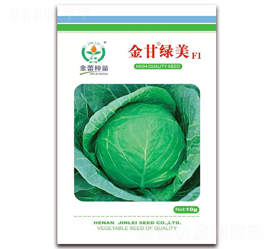 金甘綠美-甘藍種子-金蕾種苗