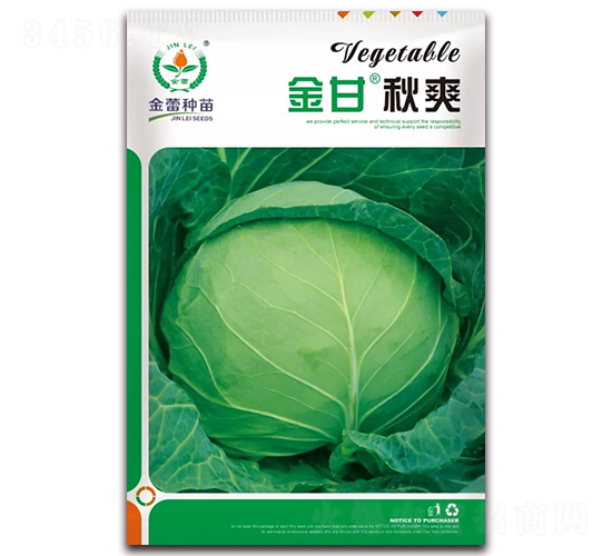 金甘秋爽-甘藍(lán)種子-金蕾種苗