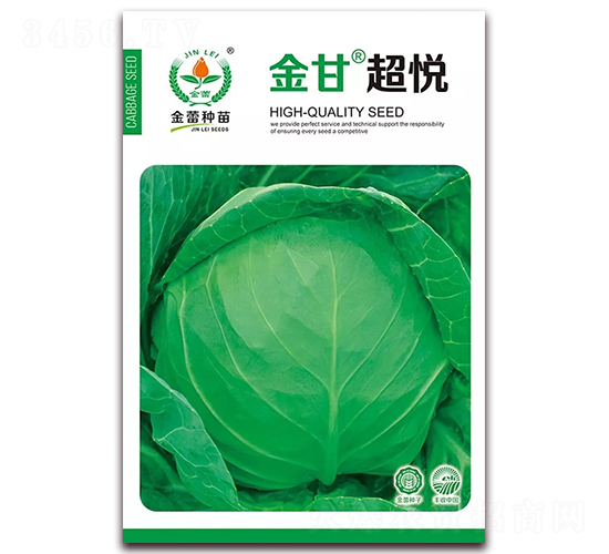 金甘超悅-甘藍(lán)種子-金蕾種苗