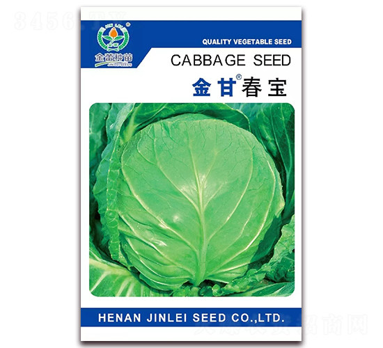 金甘春寶-甘藍(lán)種子-金蕾種苗