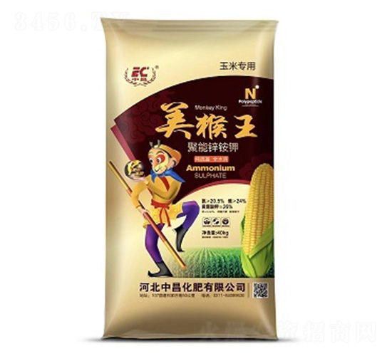 �����\�@�-�������в�