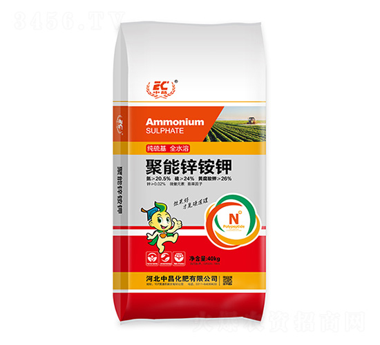 �����\�@�-�в�