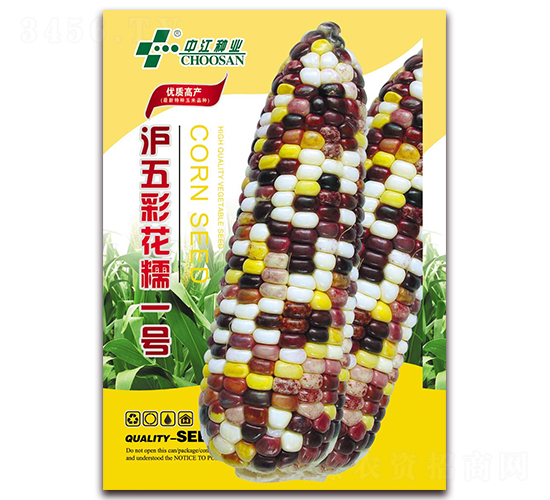 滬五彩花糯一號-糯玉米種子-中江農(nóng)業(yè)