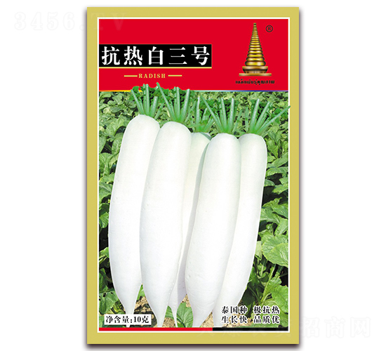 �������̖-�}���N��-�н��r(n��ng)�I(y��)