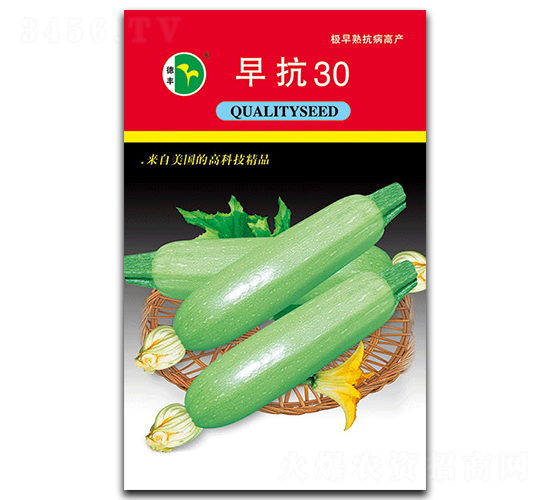 �翹30-�����J�N��-���S�N�I(y��)