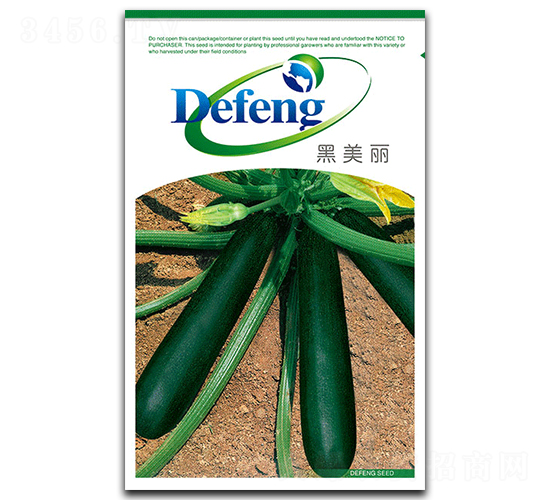 ������-�����J�N��-���S�N�I(y��)