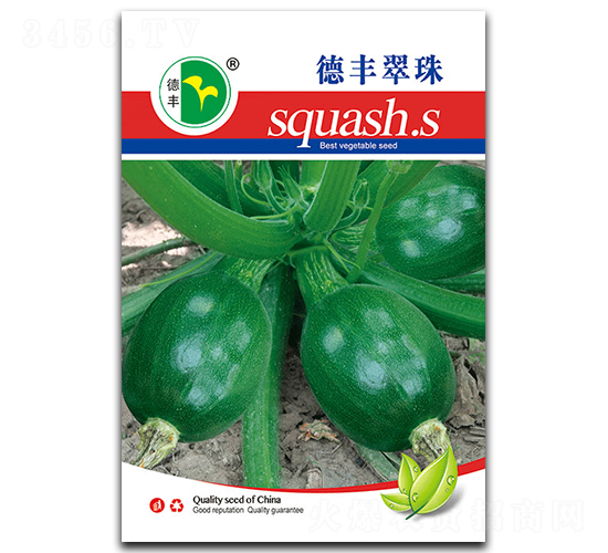 ���S����-�����J�N��-���S�N�I(y��)