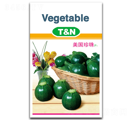 ��������-�����J�N��-���S�N�I(y��)