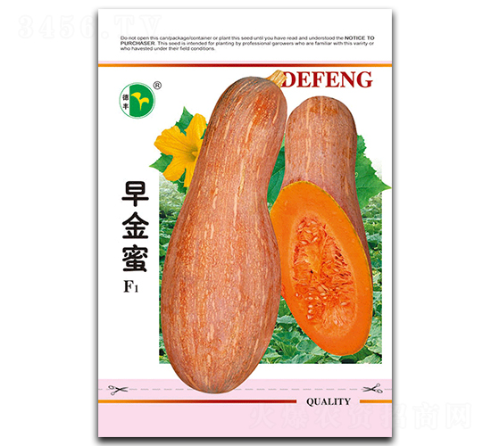 早金蜜-南瓜種子-德豐種業(yè)
