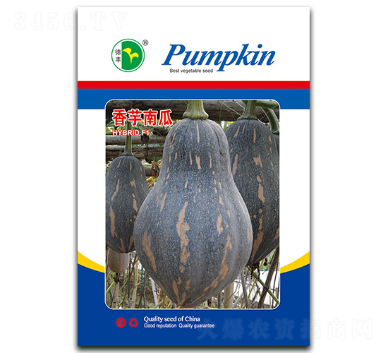 �����Ϲ�-�ϹϷN��-���S�N�I(y��)