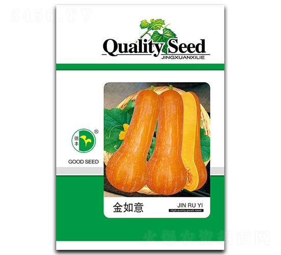 金如意-南瓜種子-德豐種業(yè)