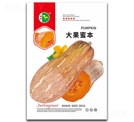 大果蜜本-南瓜種子-德豐種業(yè)