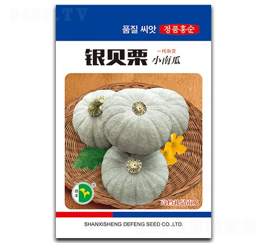 銀貝栗-南瓜種子-德豐種業(yè)