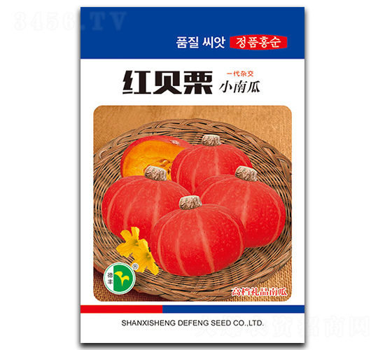 紅貝栗-南瓜種子-德豐種業(yè)
