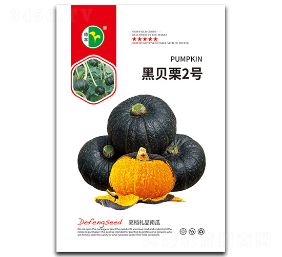 黑貝栗2號-南瓜種子-德豐種業(yè)