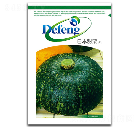 日本甜栗-南瓜種子-德豐種業(yè)