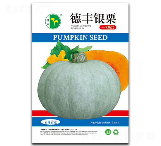 德豐銀栗-南瓜種子-德豐種業(yè)