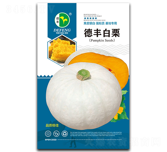 德豐白栗-南瓜種子-德豐種業(yè)