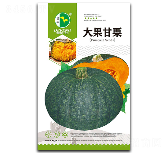 大果甘栗-南瓜種子-德豐種業(yè)