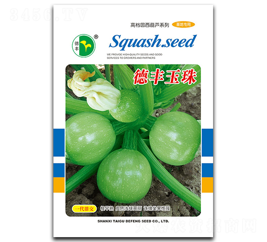 德豐玉珠-南瓜種子-德豐種業(yè)