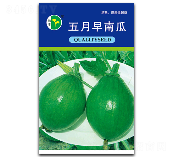 �������Ϲ�-�ϹϷN��-���S�N�I(y��)