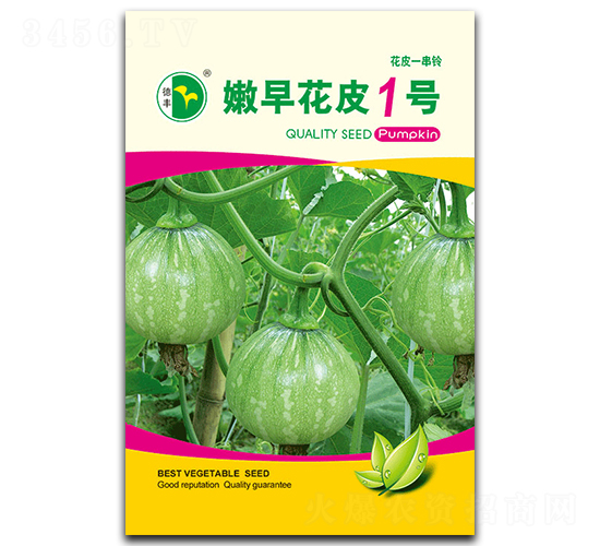 ���绨Ƥ1̖-�ϹϷN��-���S�N�I(y��)