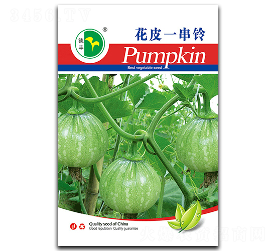 ��Ƥһ���-�ϹϷN��-���S�N�I(y��)