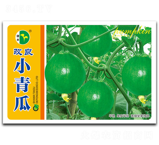 ����С���-�ϹϷN��-���S�N�I(y��)