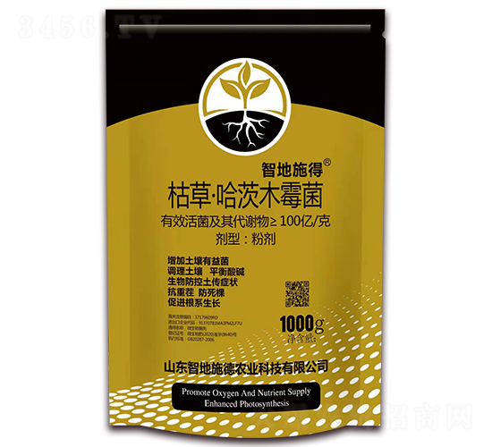 �ݲݡ�����ľù��-�ǵ�ʩ��-�|��