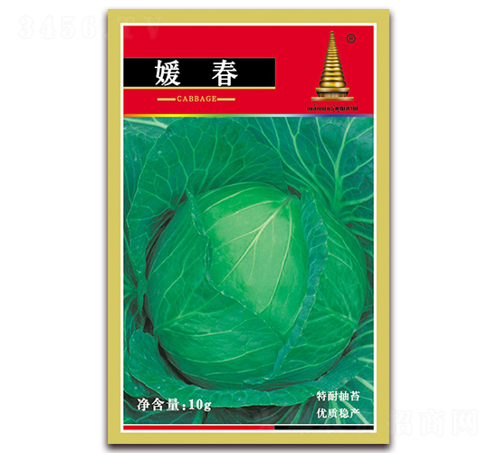 媛春甘藍-甘藍種子-中江農(nóng)業(yè)