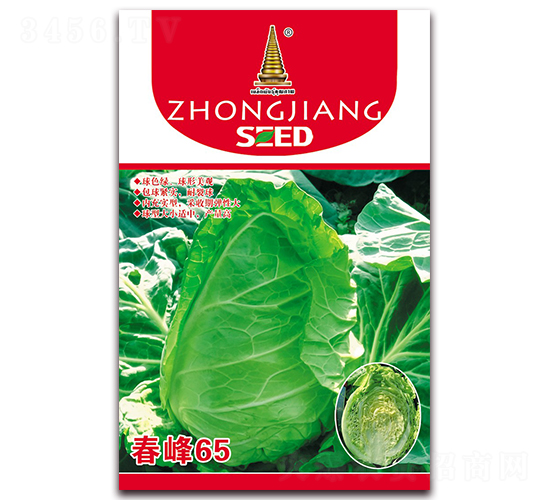 春峰65-甘藍(lán)種子-中江農(nóng)業(yè)