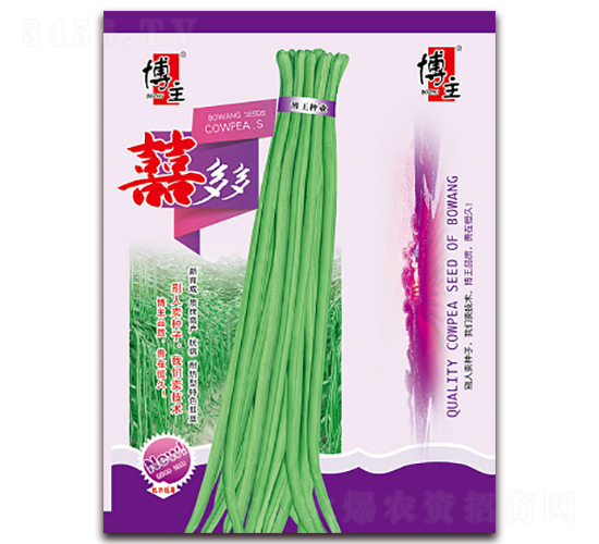博主喜多多-豇豆種子-博王