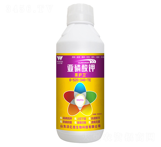 �������-���o(h��)�l(w��i)-�֠���(y��u)