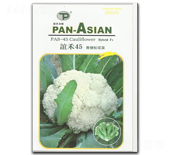 �x��45-�ɻ��˷N��-�x��