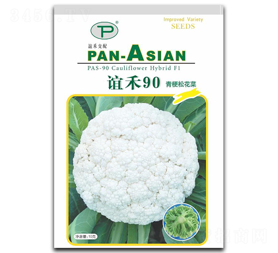 �x��90-�ɻ��˷N��-�x��