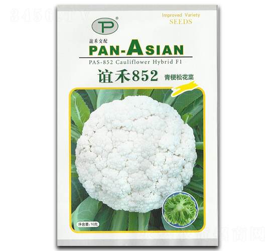 �x��852-�ɻ��˷N��-�x��