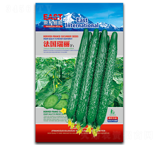 ��������-�S�ϷN��-�����_(d��)