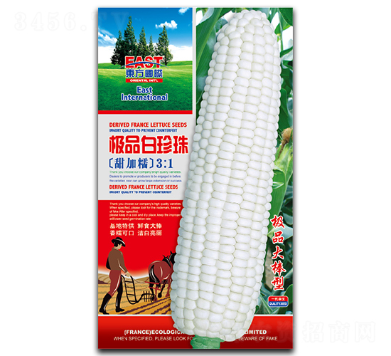 極品白珍珠-糯玉米種子-祥瑞達