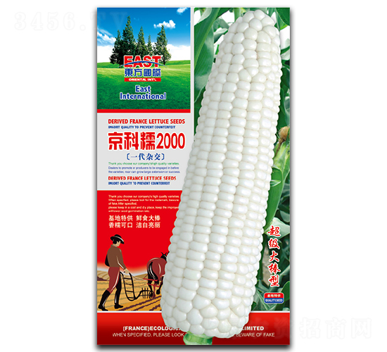 京科糯2000-糯玉米種子-祥瑞達(dá)