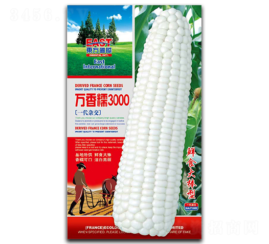 萬(wàn)香糯3000-糯玉米種子-祥瑞達(dá)