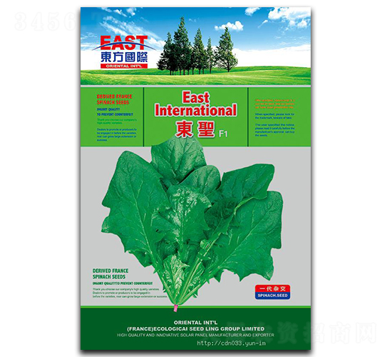 �|ʥF1-���˷N��-�����_