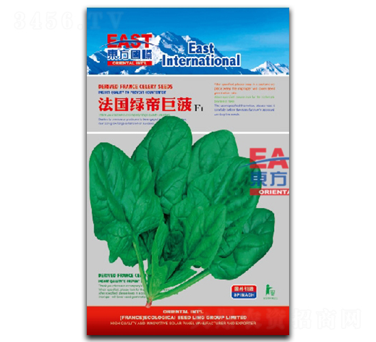 法國綠帝巨菠-菠菜種子-祥瑞達(dá)