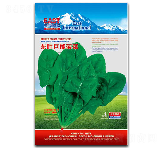 東勝巨能-菠菜種子-祥瑞達(dá)