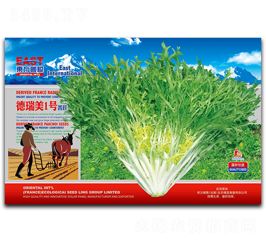 ������1̖-���ķN��-�����_(d��)