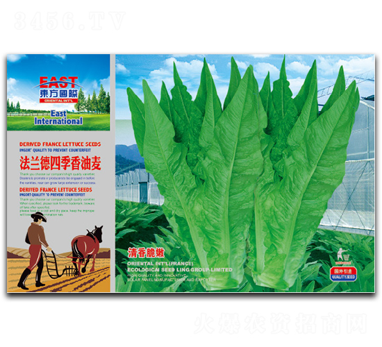 ���m���ļ�������-�����˷N��-�����_