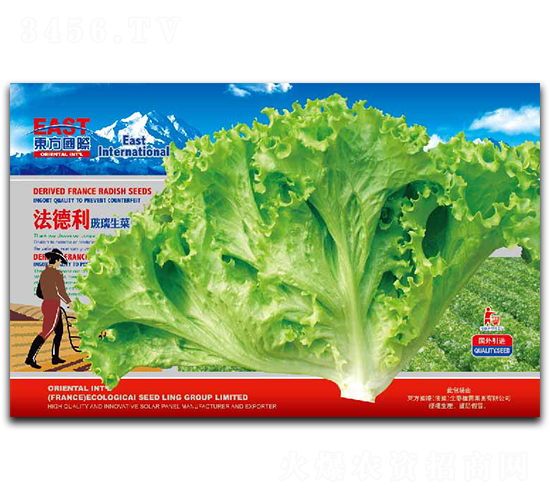 ��������������-���˷N��-�����_